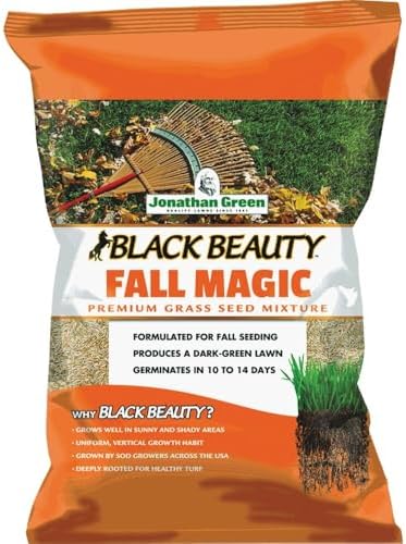 Jonathan Green (10765) Black Beauty Fall Magic Grass Seed - Cool Season Lawn Seed (3 lb)