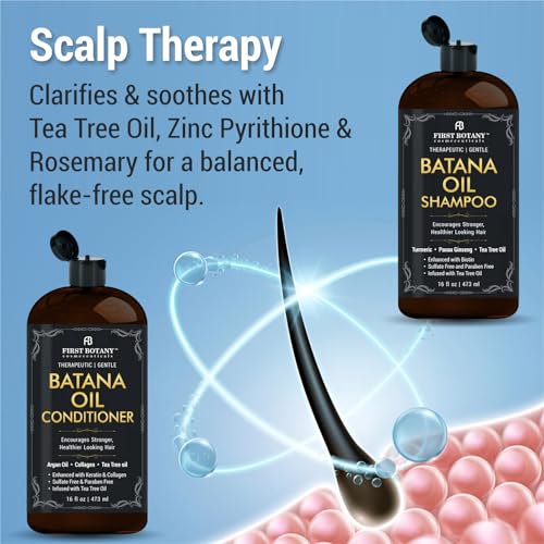 First Botany Tea Tree Mint Shampoo & Conditioner for Men & Women - Pure Tea Tree & Peppermint Oil - Fights Hair Loss, Dandruff, Lice & Itchy Scalp