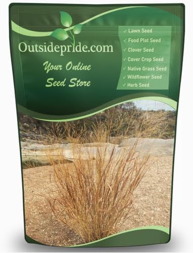 Outsidepride Perennial Little Bluestem Grass Seed - 1 lb. Warm Season, Drought Resistant, Long-Lived Native Prairie Grass Seed, Ideal for Erosion Control, Ornamental Landscaping & Wildlife Gardens