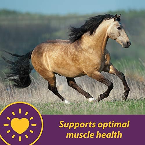 Vita E & Selenium Crumbles Vitamin & Mineral Supplement, 20 lb