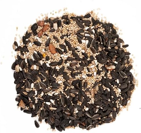 Wagner's 62042 Songbird Supreme Blend Wild Bird Food, 8-Pound Bag