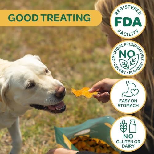 Wholesome Pride Banana Bites Dog Treats – 2-Ingredient Banana Chips for Dogs, Grain-Free, Banana & Coconut Oil, 8 oz