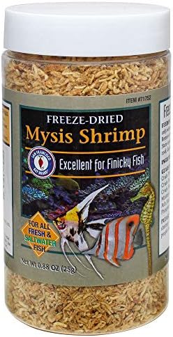 San Francisco Bay Brand Freeze-Dried Mysis Shrimp - Premium Fish Food for Live Fish, Shrimp Food
