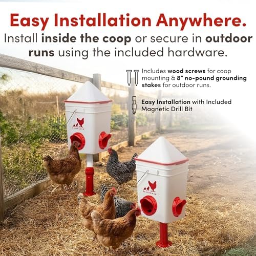 RentACoop 25lb Chicken Feeder with 4 Large Ports - Center Placement