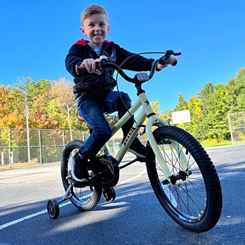 JOYSTAR Kids Bike for Ages 2-12 Years Boys Girls BMX Style Bicycle | 12-20 Inch Kids Bike with Training Wheels, Children Bicycle for Kids & Toddler