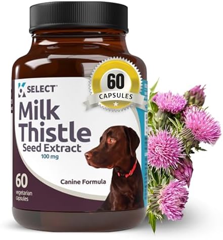 Milk Thistle for Dogs, 100mg - 60 Vegetable Capsules - Canine Liver Health Milk Thistle Supplement - Milk Herbal