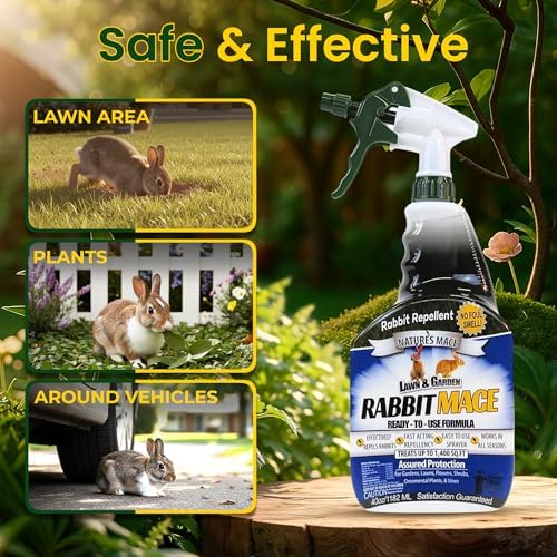 Nature's MACE Rabbit Mace Rabbit Repellent Spray & Concentrate Kit | Outdoor Rabbit Repellent, Covers 29,400 Sq Ft, Mint Scent, Safe Around Pets, People & Plants.