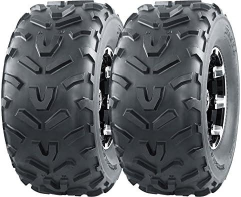 WANDA 2 New ATV Tires 22X11-10 6PR P367-10252