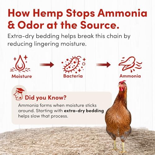 RentACoop 300L Hemp Bedding for Chickens, Rabbits, Guinea Pigs & Hamsters | Super Absorbent, Low Dust, Natural Odor Control for Chicken Coops