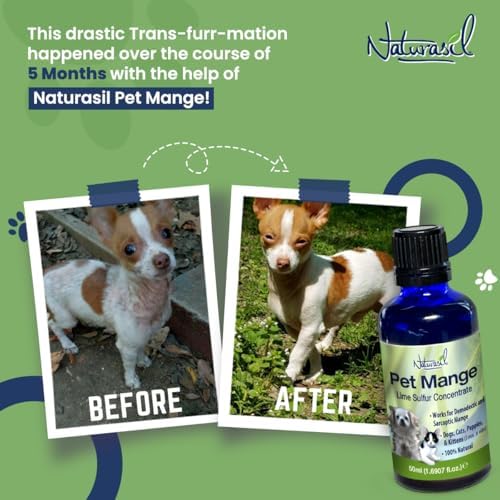 Mange Treatment Dogs & Cats