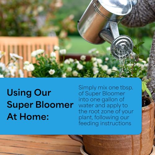 Grow More Super Bloomer 15-30-15 Fertilizer - 1.5lbs of Flower Fertilizer Bloom Booster - Flower Food for Flowers of All Types - Water-Soluble Bulb Food with Chelated Iron and Manganese