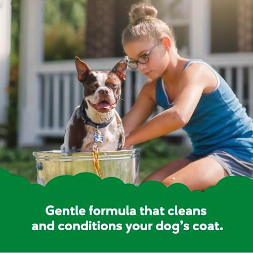Buddy Grooming Wash 2 in 1 Dog Shampoo, Lavender & Mint, 16 oz. Bottle