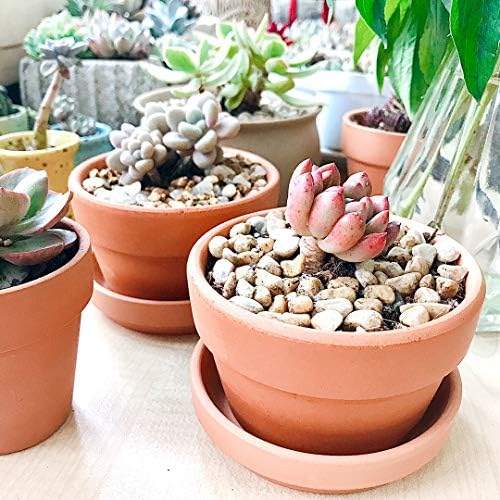 Yishang 3.5 Inch Shallow Terra Cotta pots with Saucer/Tray, Ceramic Clay Planter with Drain Hole for Succulent & Cactus Nursery Planter
