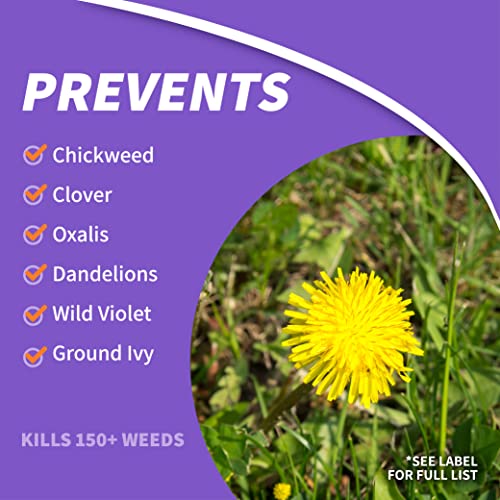 Bonide Chickweed, Clover and Oxalis Killer, 16 oz Concentrate | Controls Weeds and Roots Without Harming Lawn
