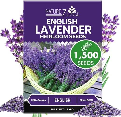 NatureZ Edge1500 English Lavender Seeds for Planting Outdoors or Indoors, 90% Germination, Lavender Plants, Non-GMO, Heirloom Herb Seeds (1 Pack)