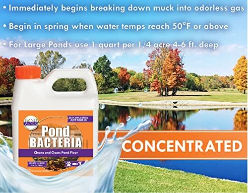 PondWorx Pond Bacteria - Formulated for Large Ponds, Water Features and Safe for Koi - Gallon