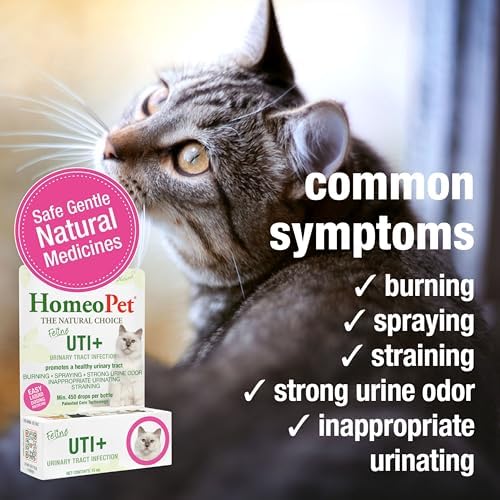 HomeoPet Feline UTI+ Urinary Tract Supplement for Cats, 15 Milliliters | Natural urinary tract support for cats, safe and gentle homeopathic formula, liquid drops suitable for daily use