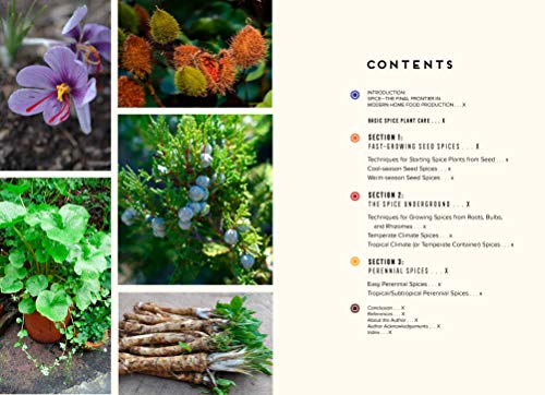 Grow Your Own Spices: Harvest homegrown ginger, turmeric, saffron, wasabi, vanilla, cardamom, and other incredible spices -- no matter where you live!