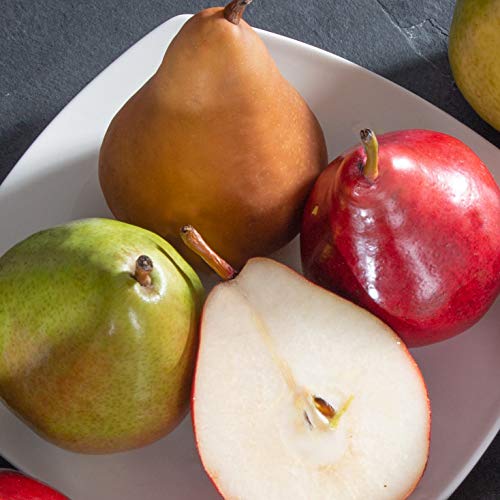 A Gift Inside Christmas Orchard Delight Fruit and Gourmet Basket Gift