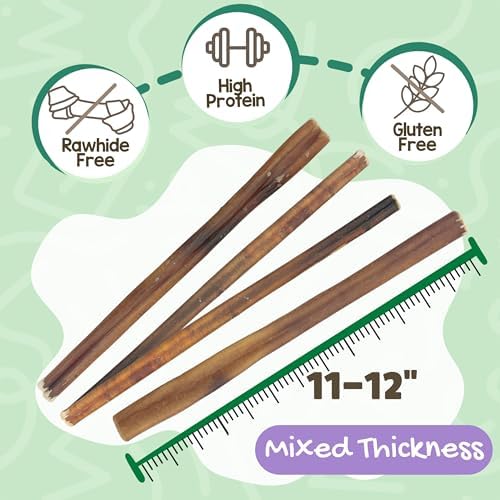 Nature Gnaws Bully Sticks 11-12" Long Lasting Rawhide Free Dog Chews, 8 oz