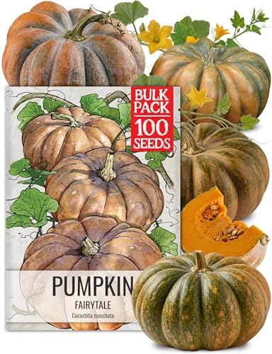 Seed Needs Pumpkin Seeds to Plant 100 Seeds Spooky Mix Non GMO Bulk Pack