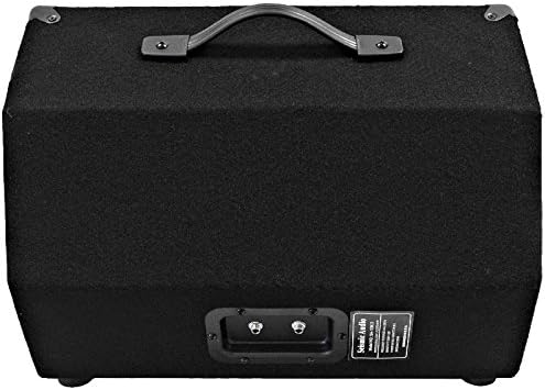 Seismic Audio - SA-10M.3 - Pro Audio 10 Inch 2-Way Floor Monitor Stage Speakers PA/DJ Church - 200 Watts