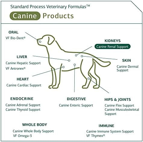 Standard Process Canine Renal Support - Dog Supplement for Kidney