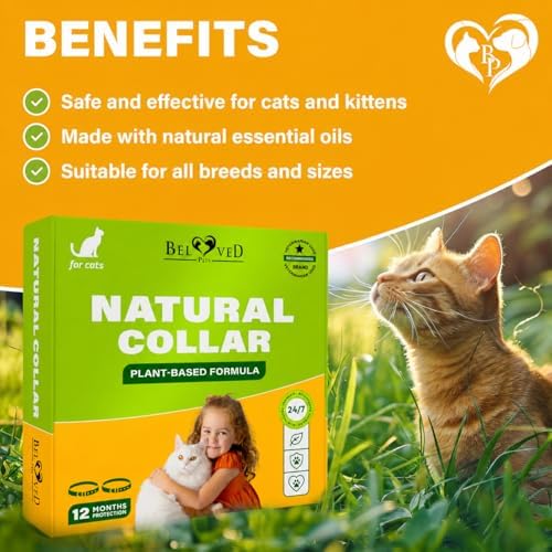 Natural Flea & Tick Collar for Cats - 6 Months Control of Best Prevention & Safe Treatment - Anti Fleas and Ticks Essential Oil Repellent (1 Pack)