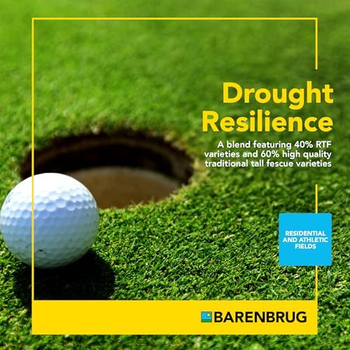Barenbrug Turf Saver RTF Grass Seed with Yellow Jacket Seed Coating - Less Water Self-Repairing Tall Fescue Turf for Use on Sports Field, Golf Courses