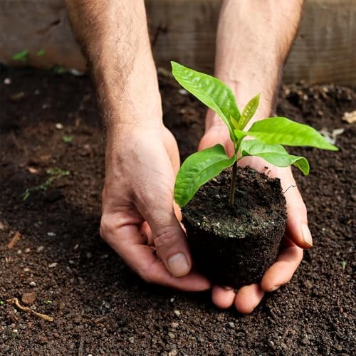 glorousamc Bulb Planter, Weeder, Sod Plugger, Flower Planting