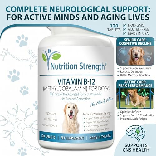 Vitamin B12 for Dogs Plus Folate & Calcium, Support the Nervous System & Blood Cell Formation