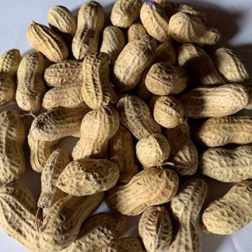 Peanuts (in-the-Shell) Bird Feed - 20 lb Bag