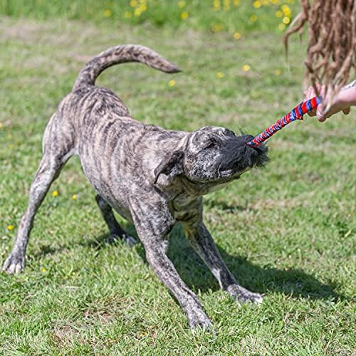 Tug-E-Nuff WondaBaa Bungee Tug Toy for Dogs for Interactive Training & Play | Soft and Responsibly-Sourced Sheepskin Bite Area | for Dogs of All