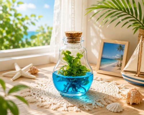 Venus Fly Trap, Grow Your Own Venus Flytrap in a 100% Self Sustaining Glass Terrarium, Maintenance Free, Easy to Grow, Healthy Growth Guarantee