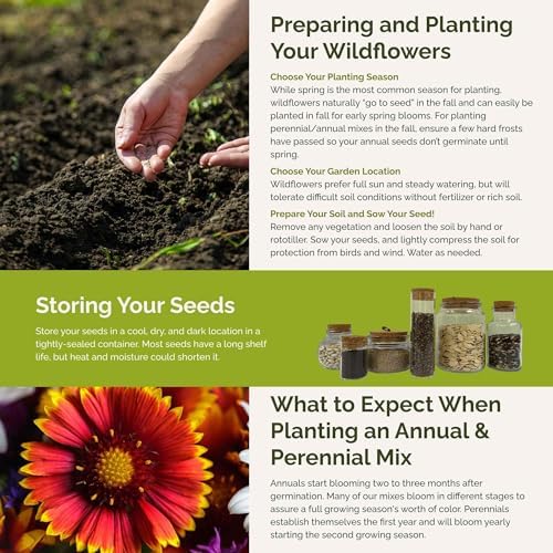 Eden Brothers The Bees Knees Pollinator Wildflower Seed Mix, 1/4 lb (135,000+ Seeds) Throw and Grow - 100% Pure, No Fillers - 18-Variety Non-GMO Annual + Perennial, Covers up to 1,100 SqFt, Zones 3-10