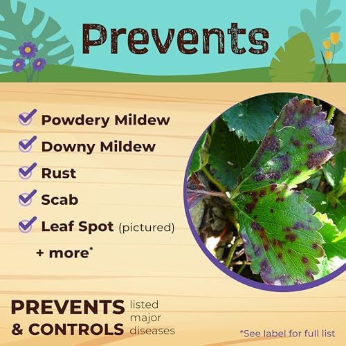 Bonide Captain Jack's Neem Oil, 32 oz Ready-to-Use Spray, Multi-Purpose Fungicide, Insecticide and Miticide for Organic Gardening | Multi-Purpose Fungicide, Insecticide and Miticide, For Plants, For Organic Gardening