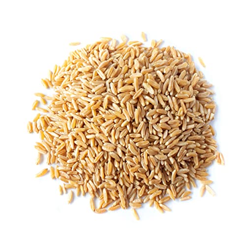 Food to Live Organic KAMUT Khorasan Wheat Berries, 5 Pounds – 100% Whole Grain, Sproutable for Wheatgrass, Non-GMO, Kosher, Bulk