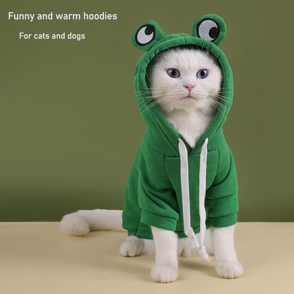 ANIAC Dog Hoodies Sweatshirt with Bunny Ears Spring Puppy Clothes for Small Dog Girl Boy Soft Doggy Sweater Cat Apparel Pet Clothing for Kitten