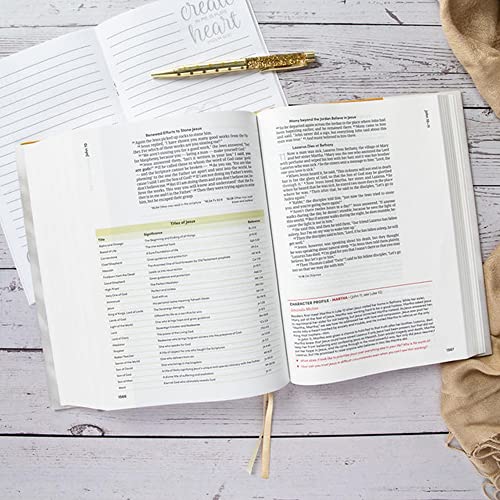 CSB Lifeway Women's Bible, Camel Cloth Over Board, Black Letter, Single-Column, Wide-Margins, Devotions, Articles, Word Studies, Character Profiles