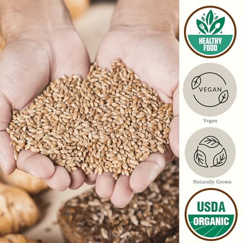 Organic Soft White Wheat Berries 5.8lb - Healthy Whole Grains Bulk | Ideal for Feeder Oats, Flour, Bread, Soup - High in Protein & Fiber - USA Grown | USDA Certified | Vegan | Non-GMO