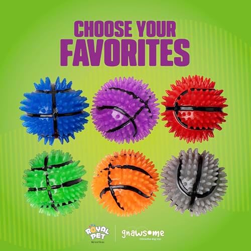Gnawsome Dog Toys - 2.5-Inch Spiky Squeaker Basketball - Small - Dental & Gum Wellness - Stimulating Fun - Hidden Squeaker - Durable for Heavy