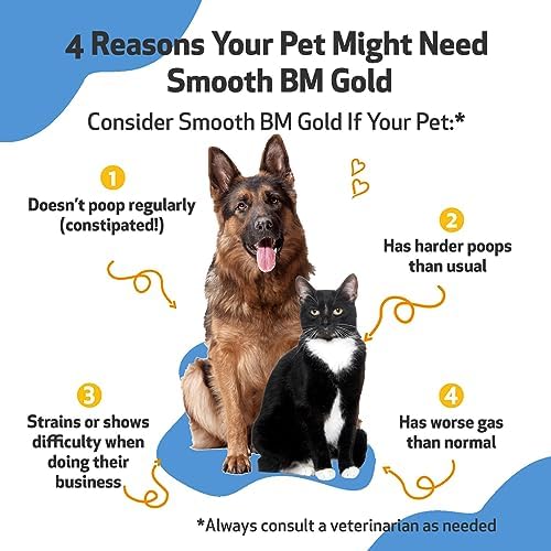 Pet Wellbeing Smooth BM Gold for Cats - Gentle Constipation Relief for Felines - Natural Herbal Supplement 2 oz (59 ml) | NASC Certified & Vet-Formulated Liquid Digestive Supplement with Triphala for Healthy Bowel Movements & Stool Consistency
