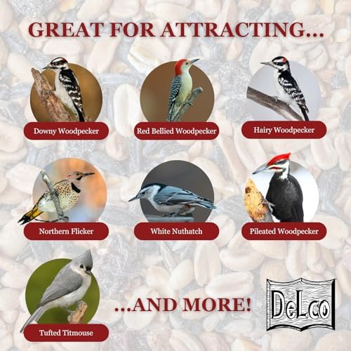 DeLco Woodpecker Wild Bird Seed, 20 lb Bag, High Energy Fruit & Nut with Sunflowers, Attracts Woodpeckers, Cardinals, Jays & Chickadees