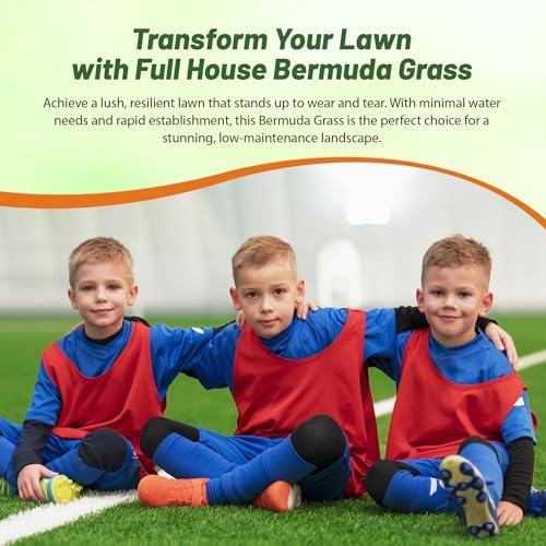 Outsidepride Full House Bermuda Grass Seed Mix - 2 lbs. Premium Warm Season Turf Blend of Traffic & Drought-Tolerant Monaco & Hollywood Bermuda