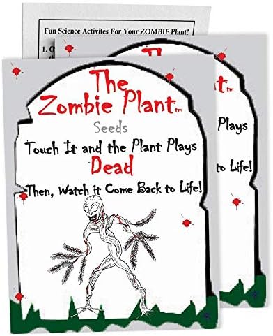 Zombie Plant Seed Packets – Grow a Live Sensitive Plant that Plays Dead When Touched! Indoor Plant Seeds & Educational STEM Activity | House Plant Seeds | Unique Garden Seeds – 2 Pack