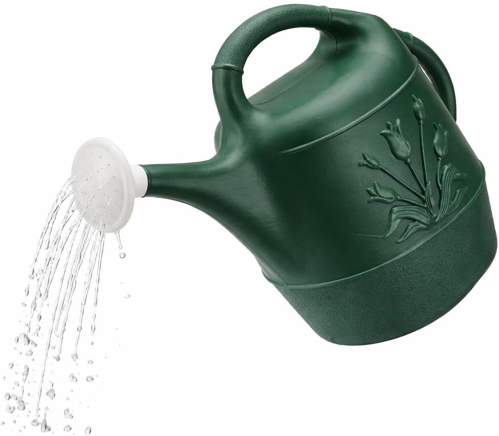 PMU 2 Gallon Watering Can - Garden Watering Can for Indoor & Outdoor Plants - Plastic Water Can with Detachable Sprinkler Head - Large Water Pot, Made in USA - Hunter Green Pkg/1