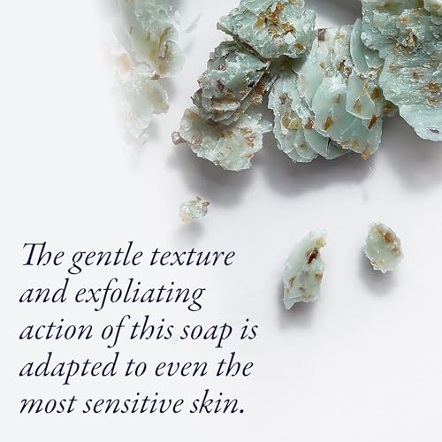 Phytomer Seaweed Soap Bar with Exfoliating Cleansing Particles (150 gr) | With Red Algae and Glycerine Marine Formula for Gentle Exfoliation of Dead