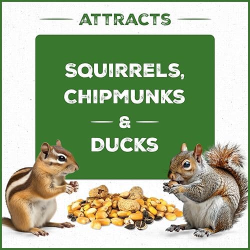 Pennington Squirrel & Critter Blend with Sunflower, Corn & in Shell Peanuts | 10-lb bag, Corn, sunflower seeds