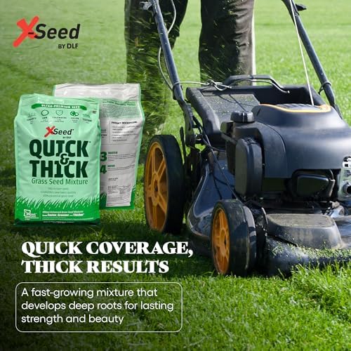 X-Seed Ultra Premium Quick and Thick Lawn Seed Mixture – Rapid Germination for Any Lawn, Dense Coverage in Sun to Shade, High-Traffic Areas, Fescue, Kentucky Blue, & Perennial Ryegrass Blend, 3lb Bag