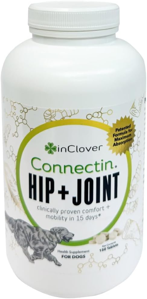 InClover Connectin Hip and Joint Supplement for Dogs - Glucosamine, Chondroitin and Hyaluronic Acid - Soft Chews for Dog Joint Mobility and Comfort Support - 100 Count